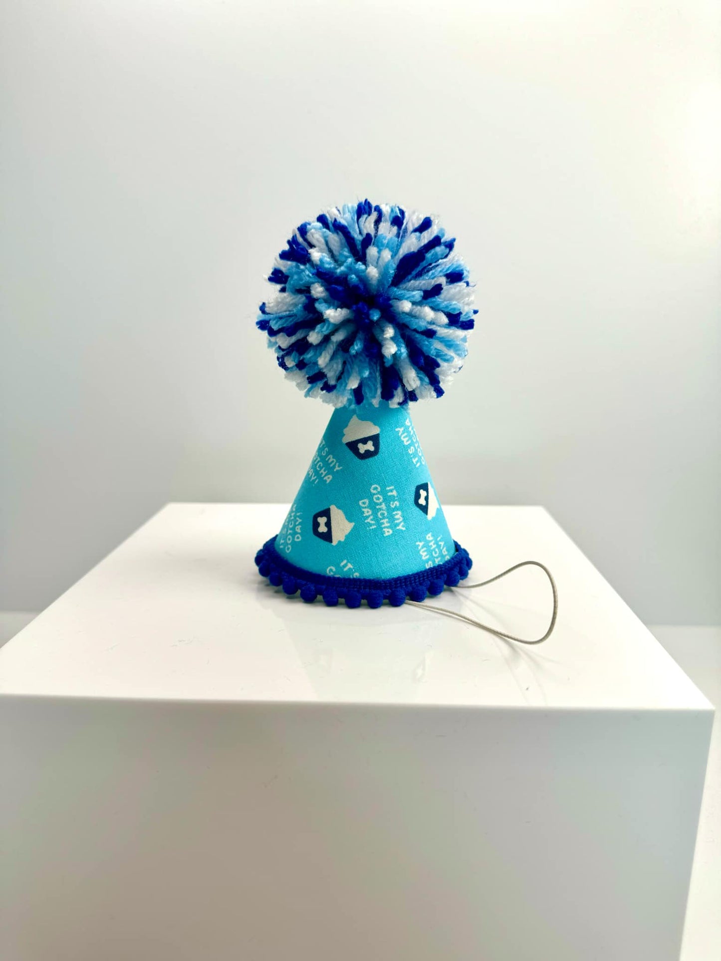 Gotcha Day Cupcake Blue Party Hat
