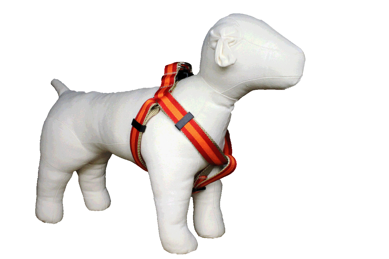 Prep School Dog Harness - Travis