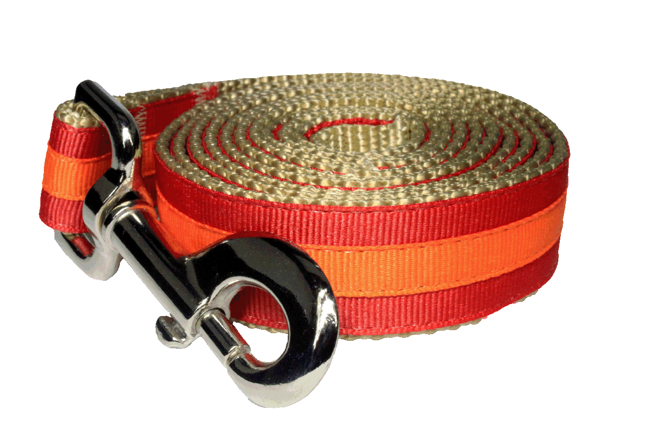 Prep School Dog Leash - Travis