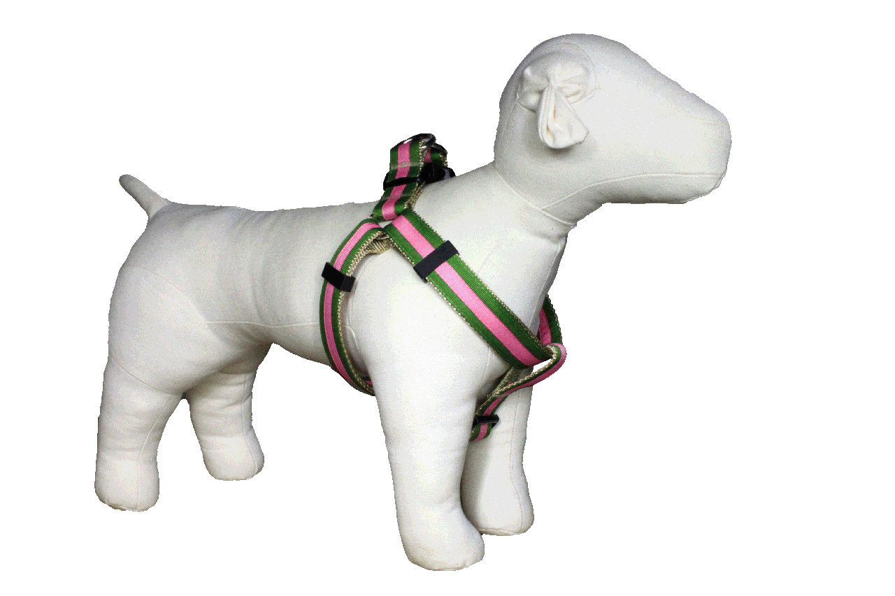 Prep School Dog Harness - Buffy