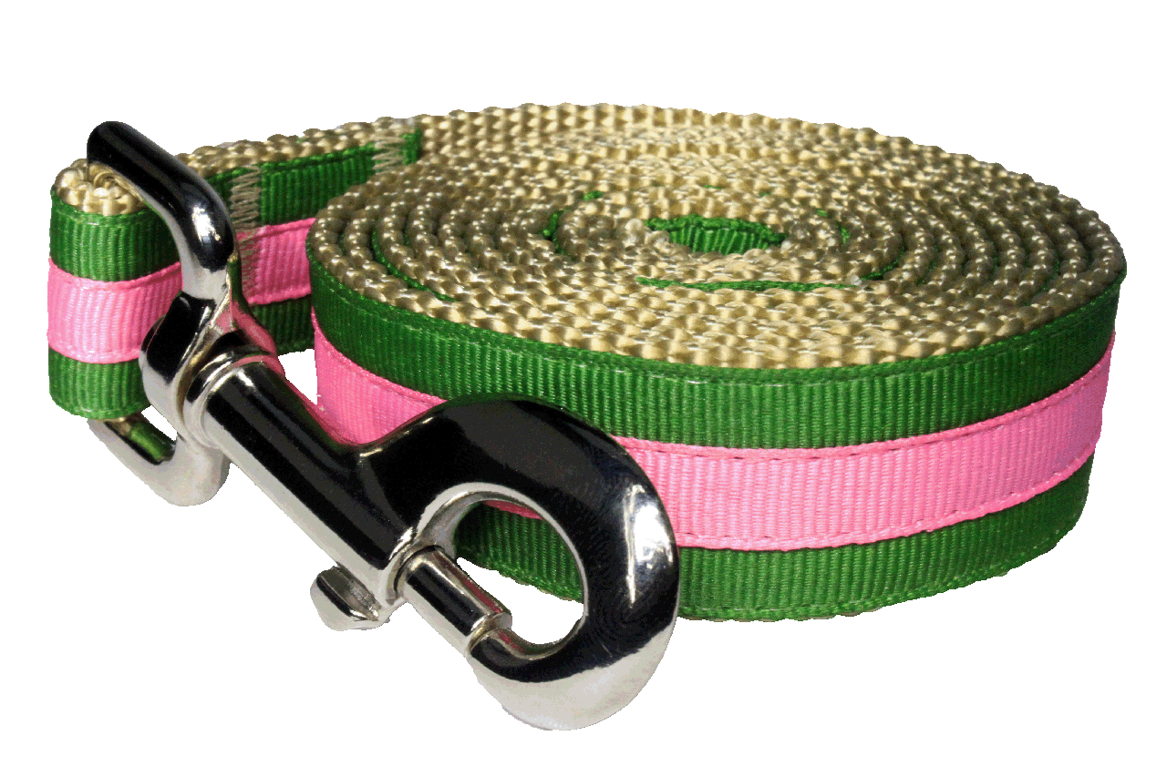 Prep School Dog Leash - Buffy