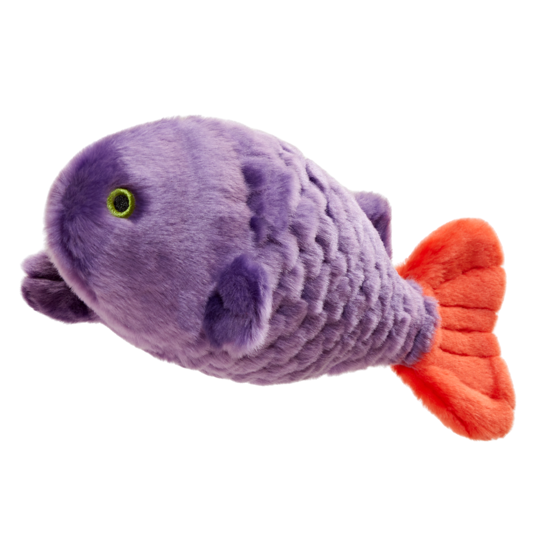 Cici the Tropical Fish