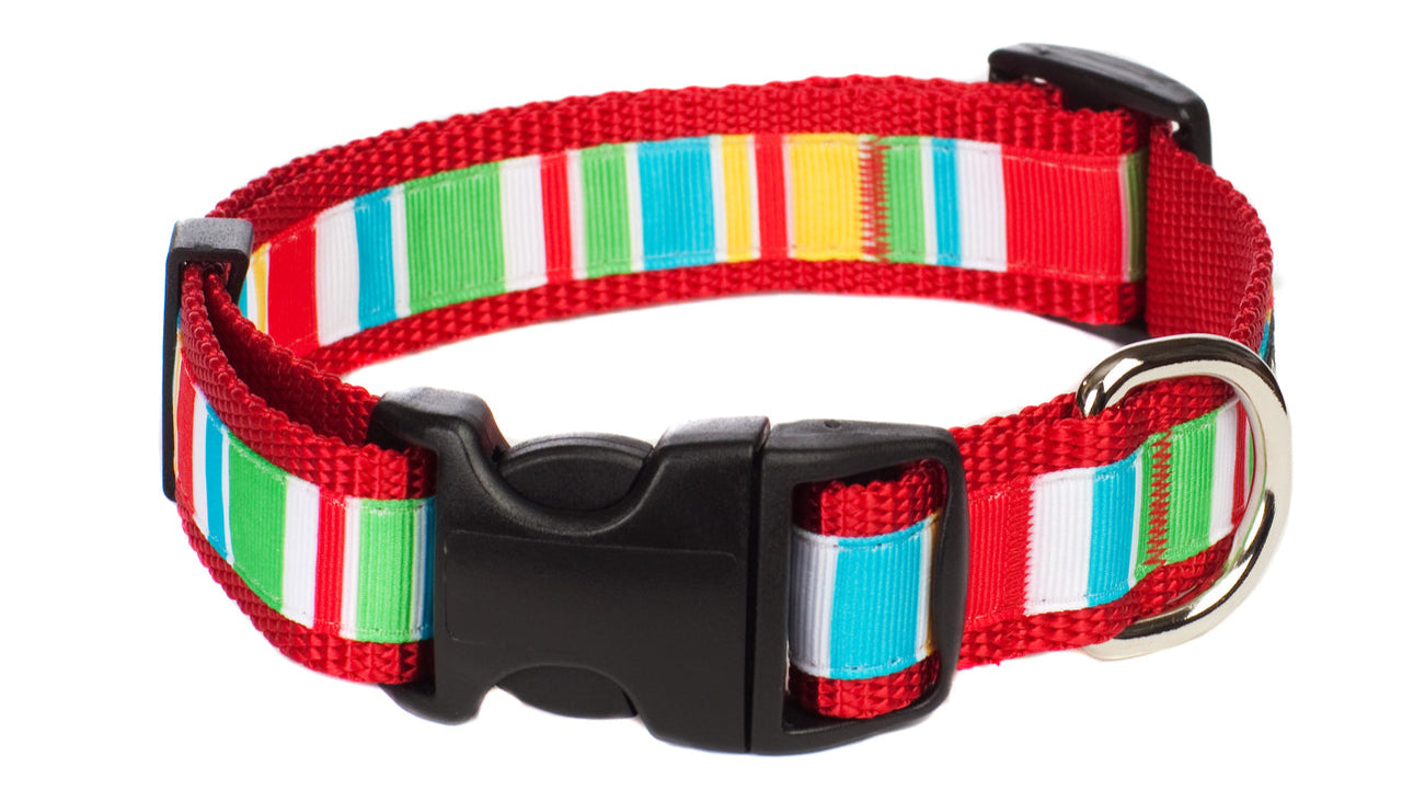 Bomb Pop Dog Collar - Push Up Stripe