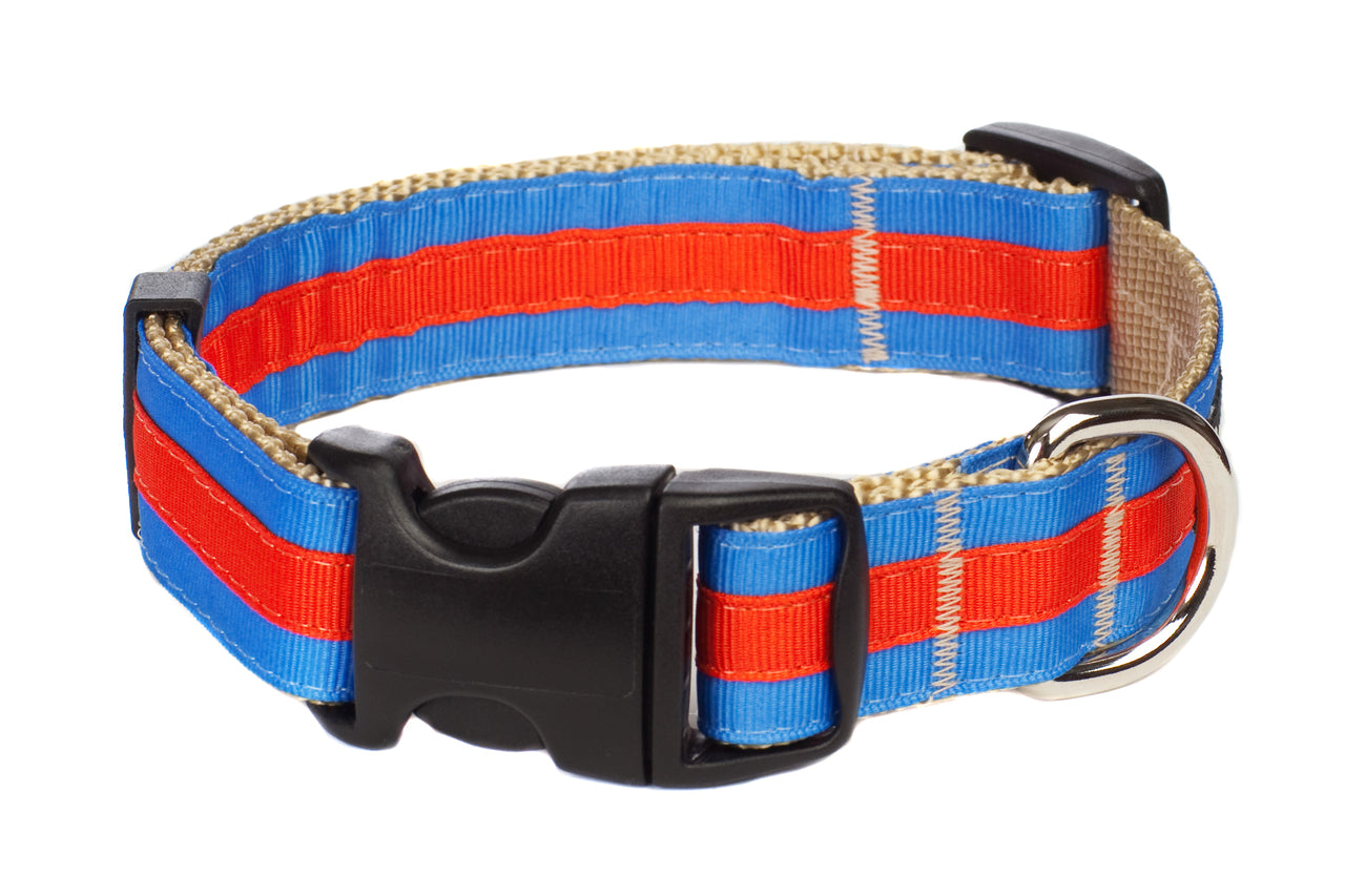 Prep School Dog Collar - Brody