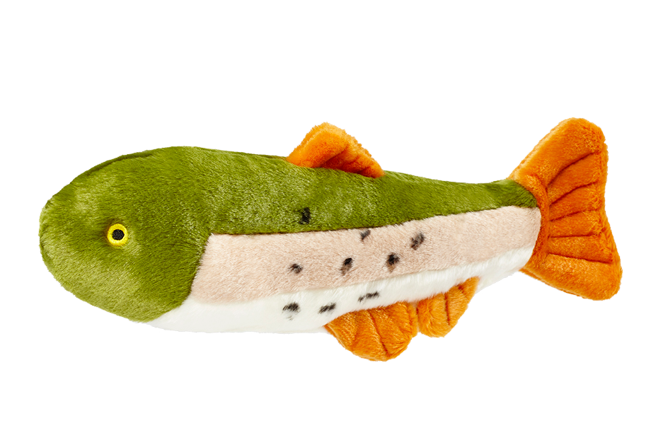 Ruby rainbow trout