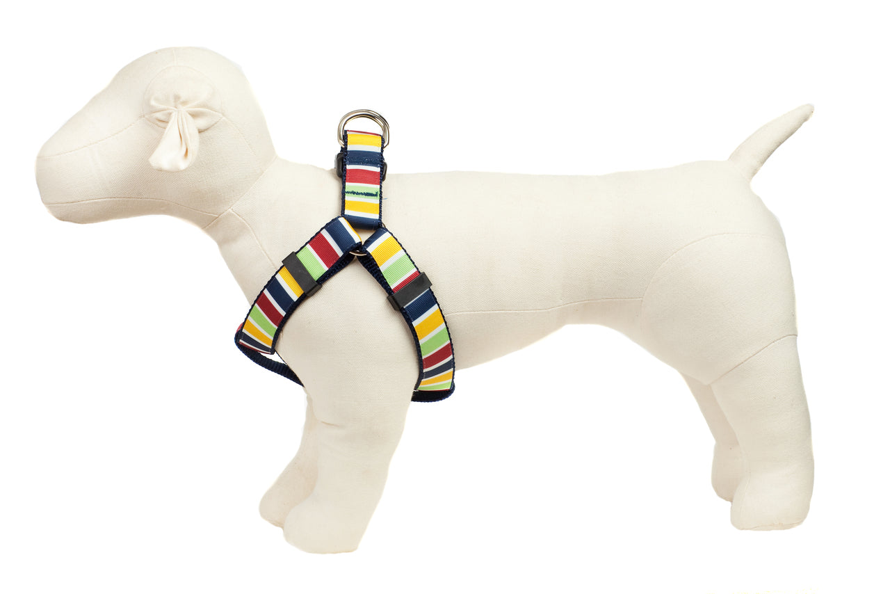 Farmers Market Dog Harness-Locally Grown