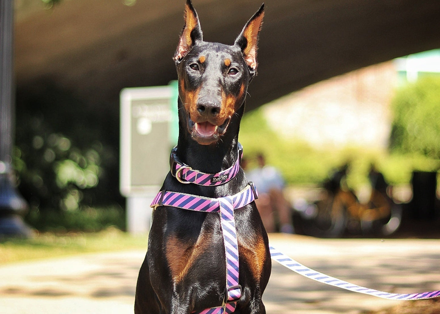 Prepster Rip Tie - Pink Polo Harness