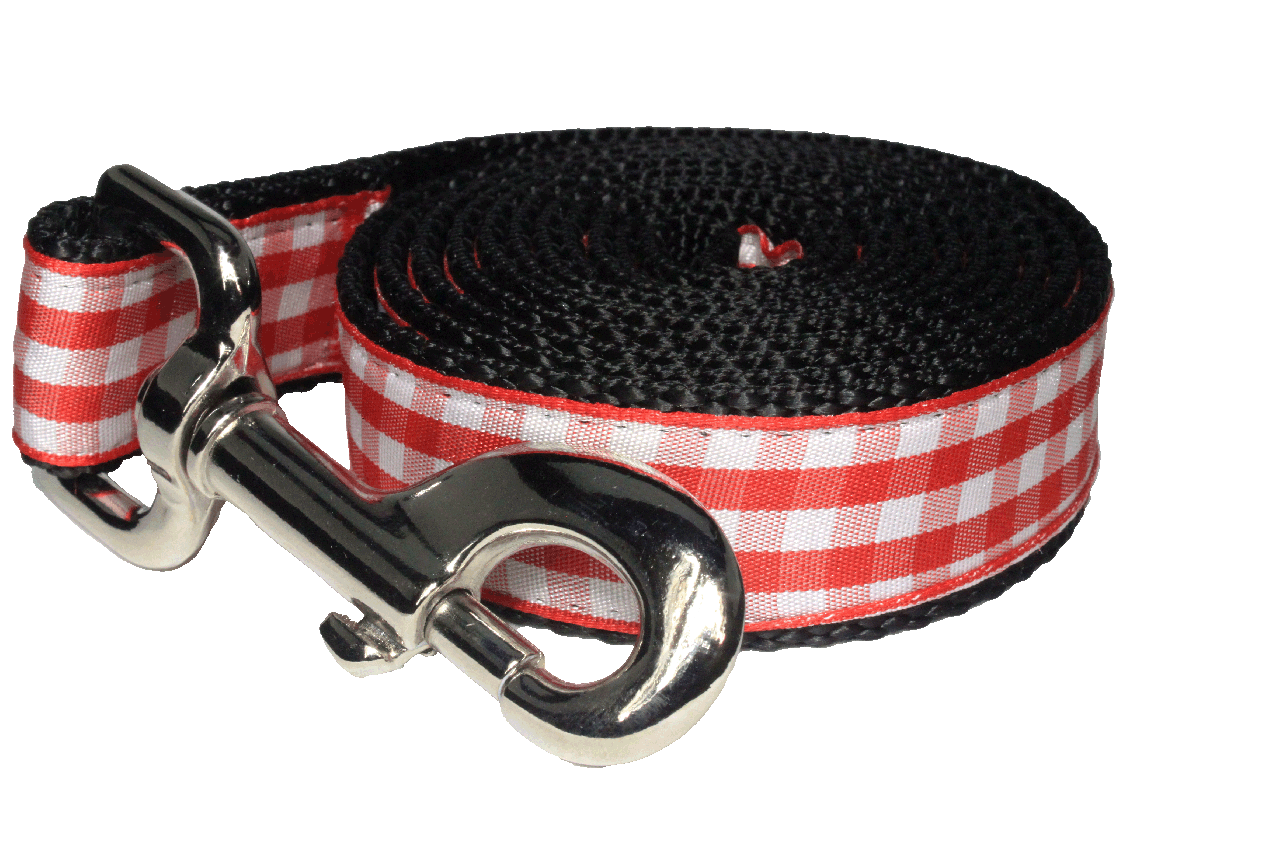 Paw Paws Picnic Basket Leash-Red