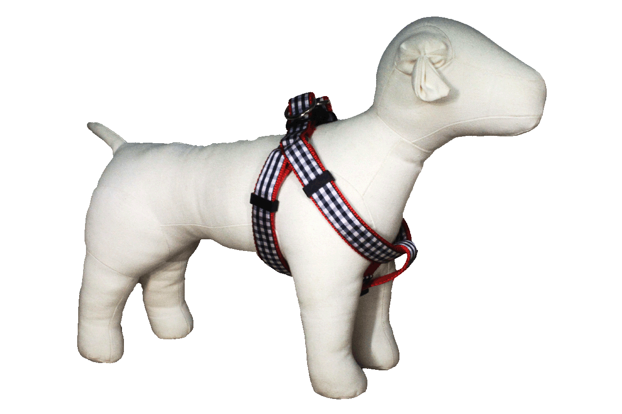 Paw Paws Picnic Basket Harness-Navy