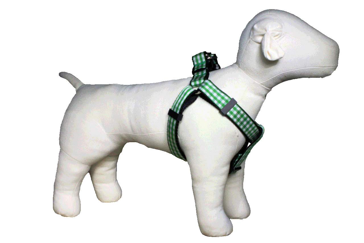 Paw Paws Picnic Basket Harness-Green