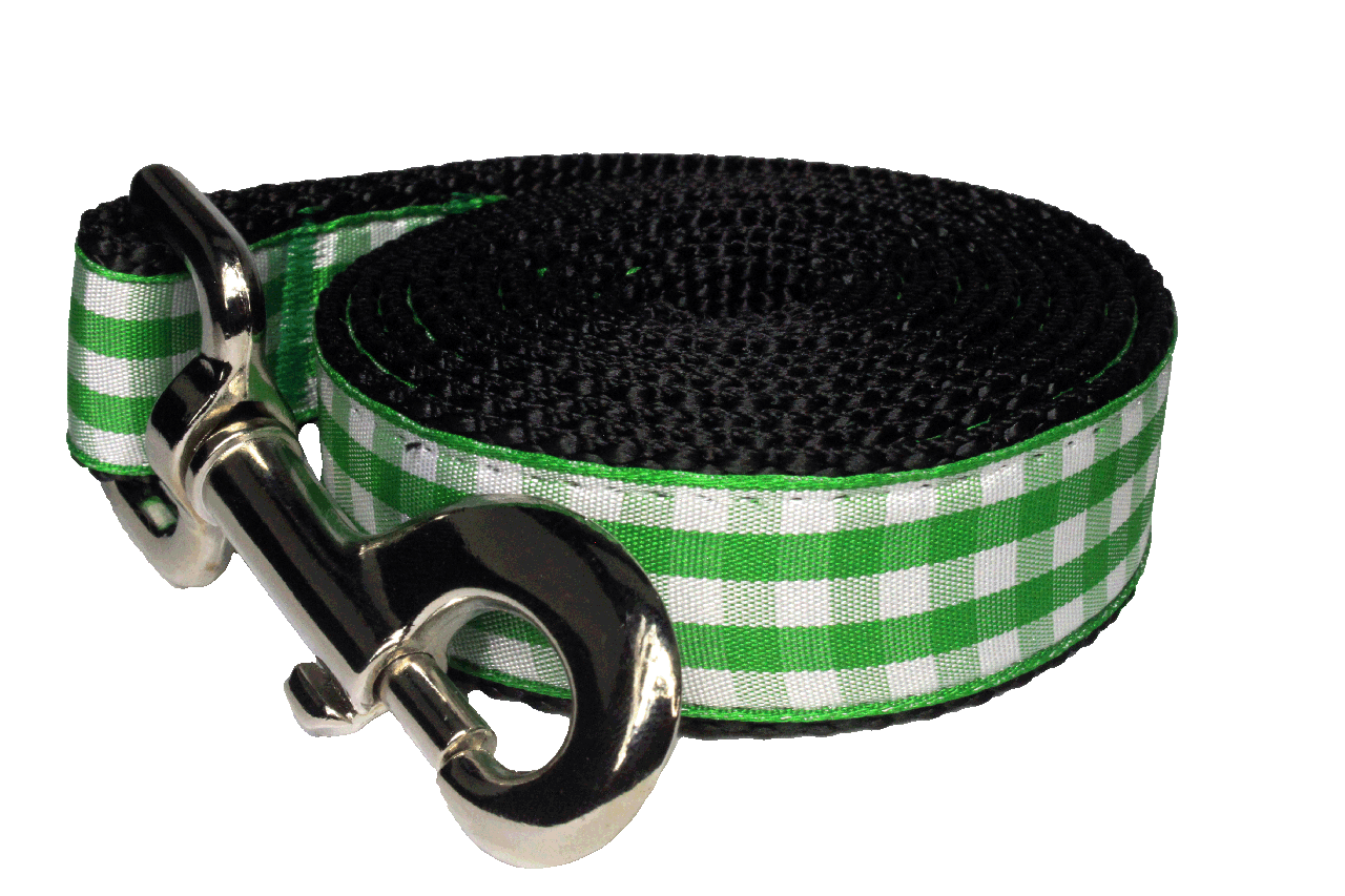 Paw Paws Picnic Basket Leash-Green