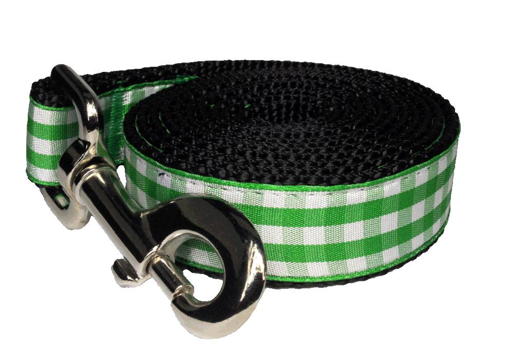 Paw Paws Picnic Basket Leash-Green