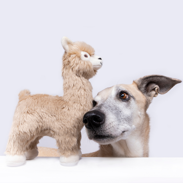 Inca Alpaca Dog Toy