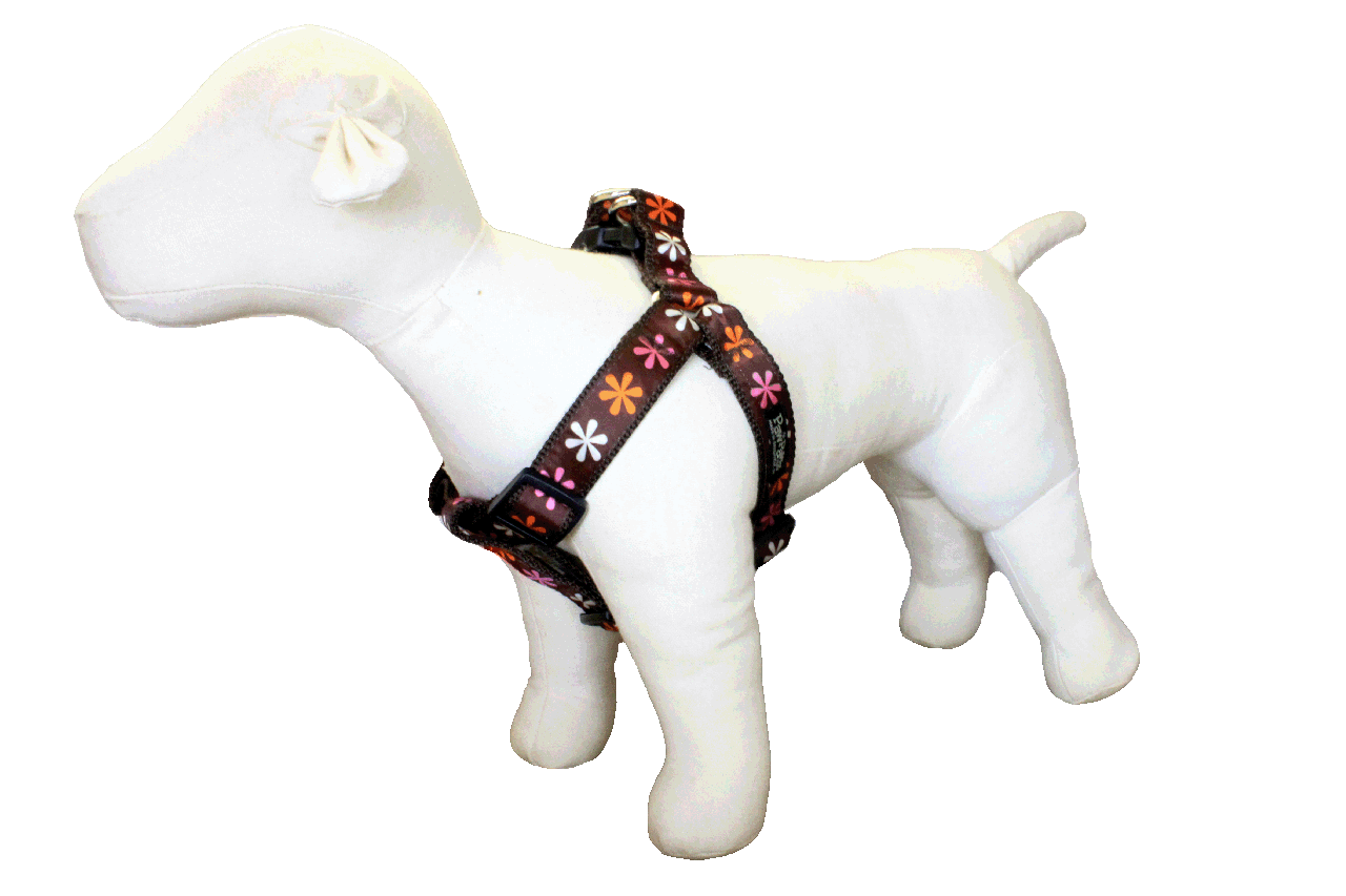 Sorbet Dog Harness-Flower Power
