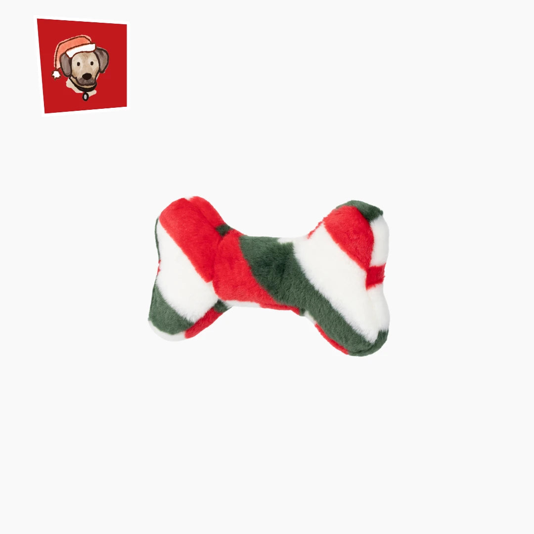 Fluff & Tuff Mini Peppermint Bone