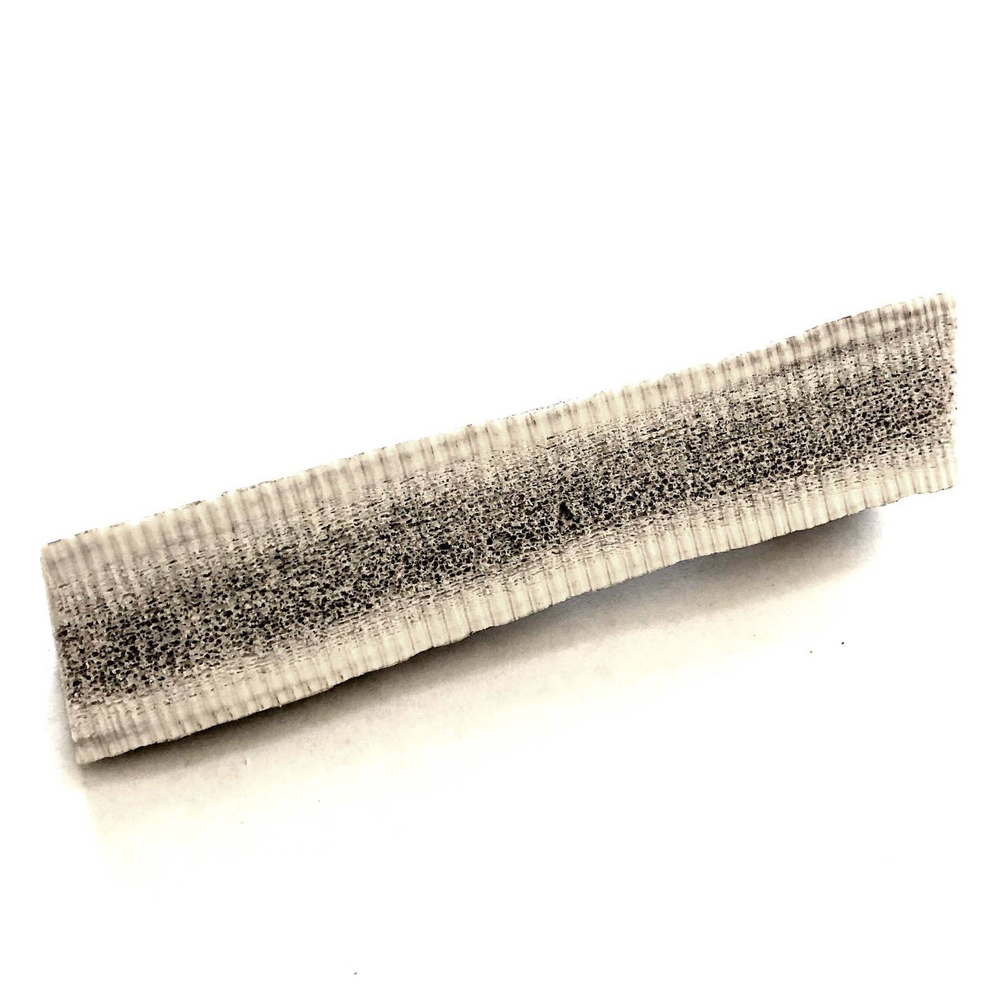 3 Pound Grade A Elk Antler Bulk Box