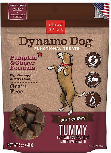 CLOUD STAR DYNAMO TREAT TUMMY PUMPKIN/GINGER 14 OZ