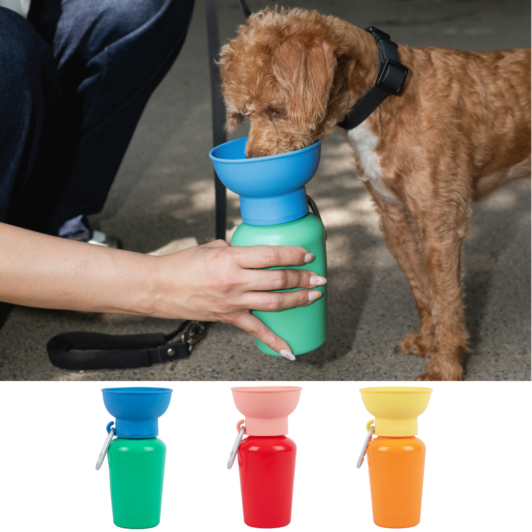 Dog Travel Water Bottle, 20oz, Flip Seasonal