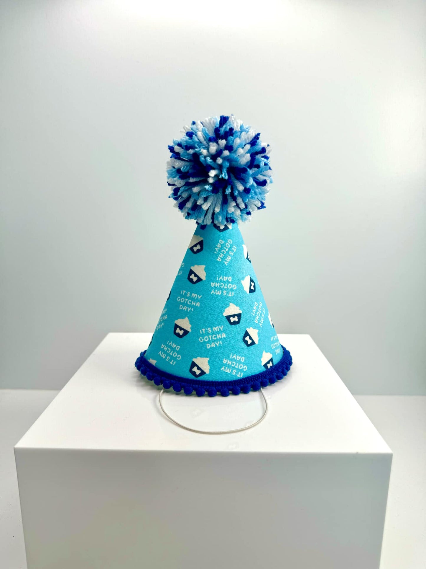 Gotcha Day Cupcake Blue Party Hat