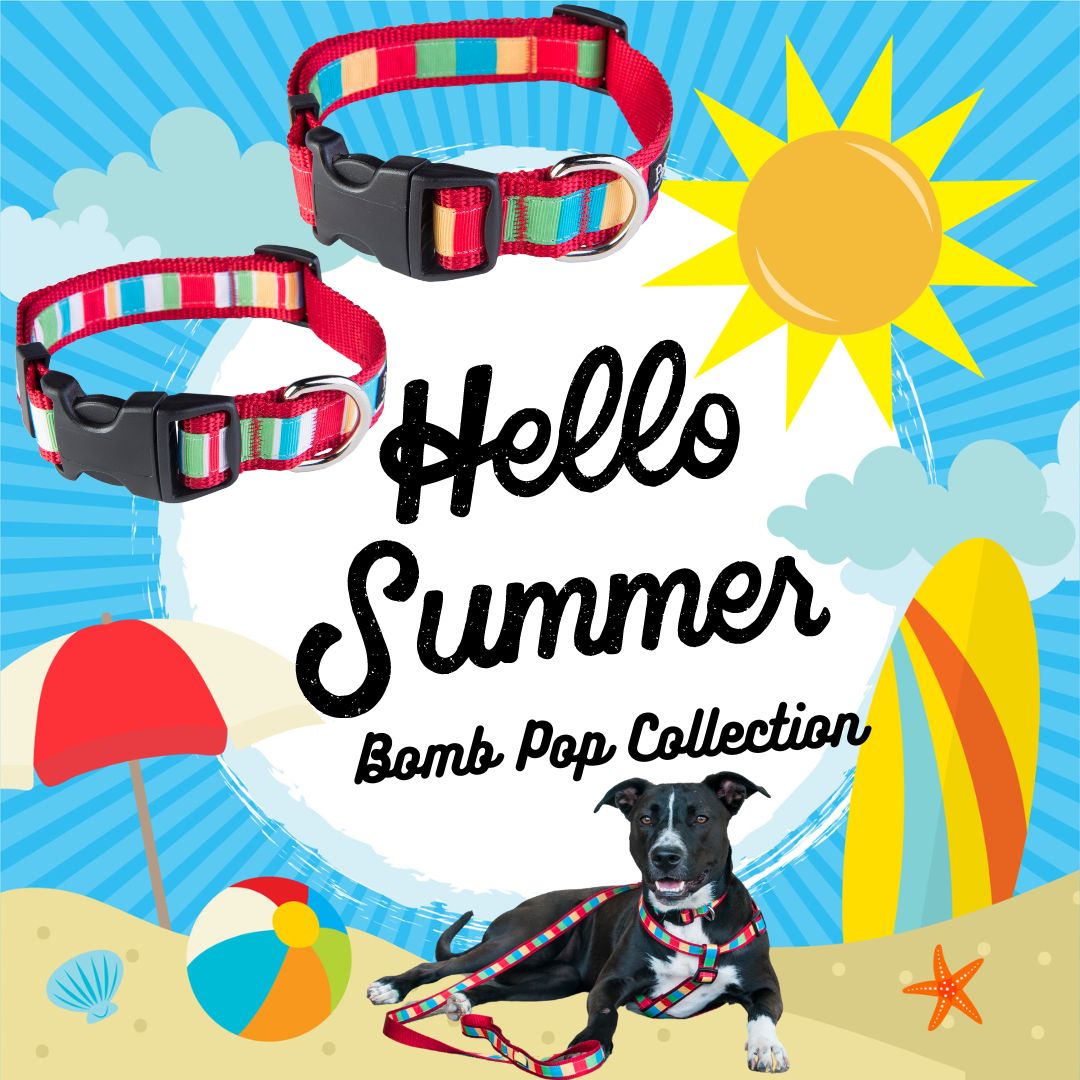 Bomb Pop Dog Harness - Rocket Pop Block