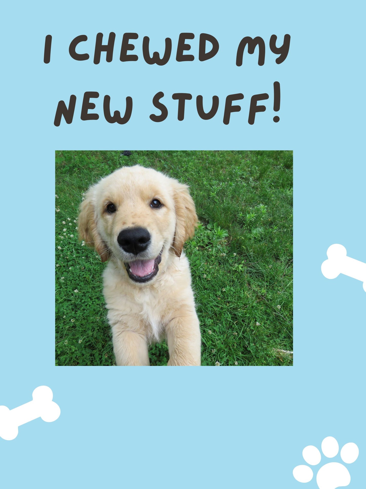 Only Chewing Warranty Replacement