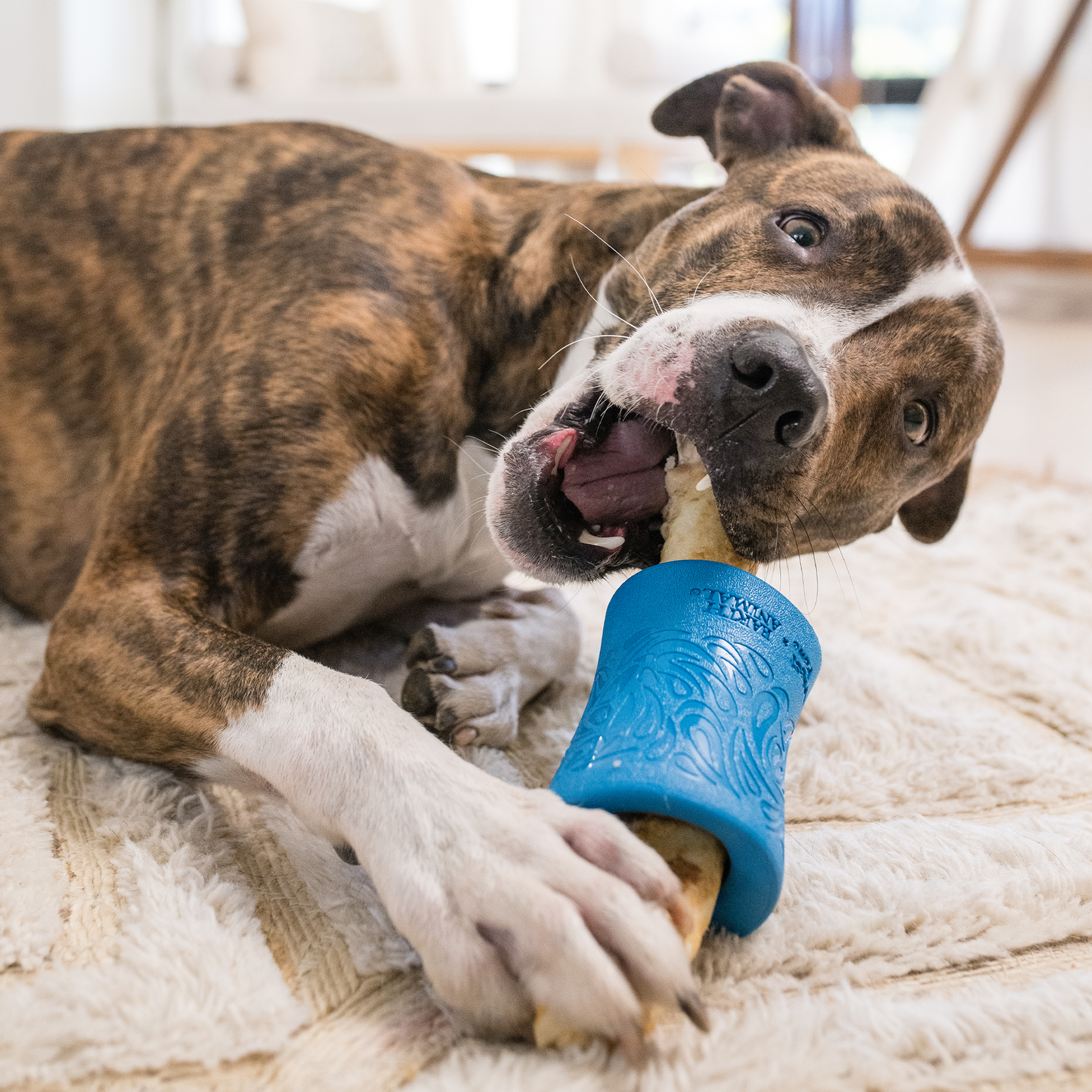 WEST PAW FUNNL LARGE 4.25"-BLUE