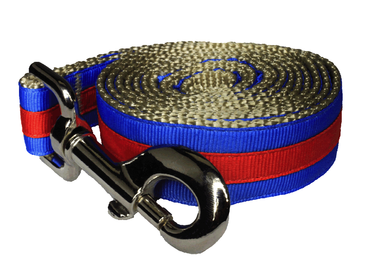 Prep School Dog Leash - Brody