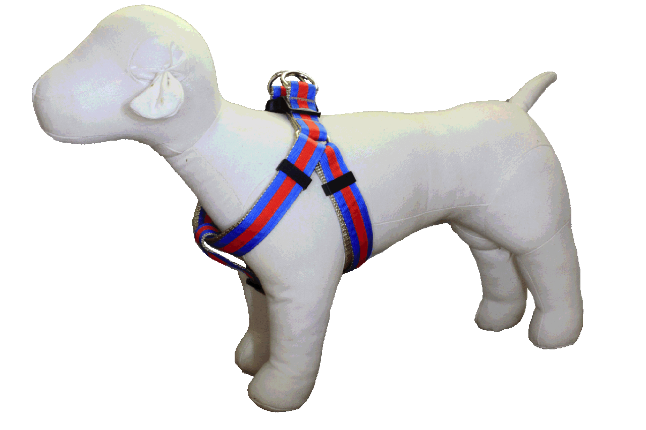 Prep School Dog Harness - Brody