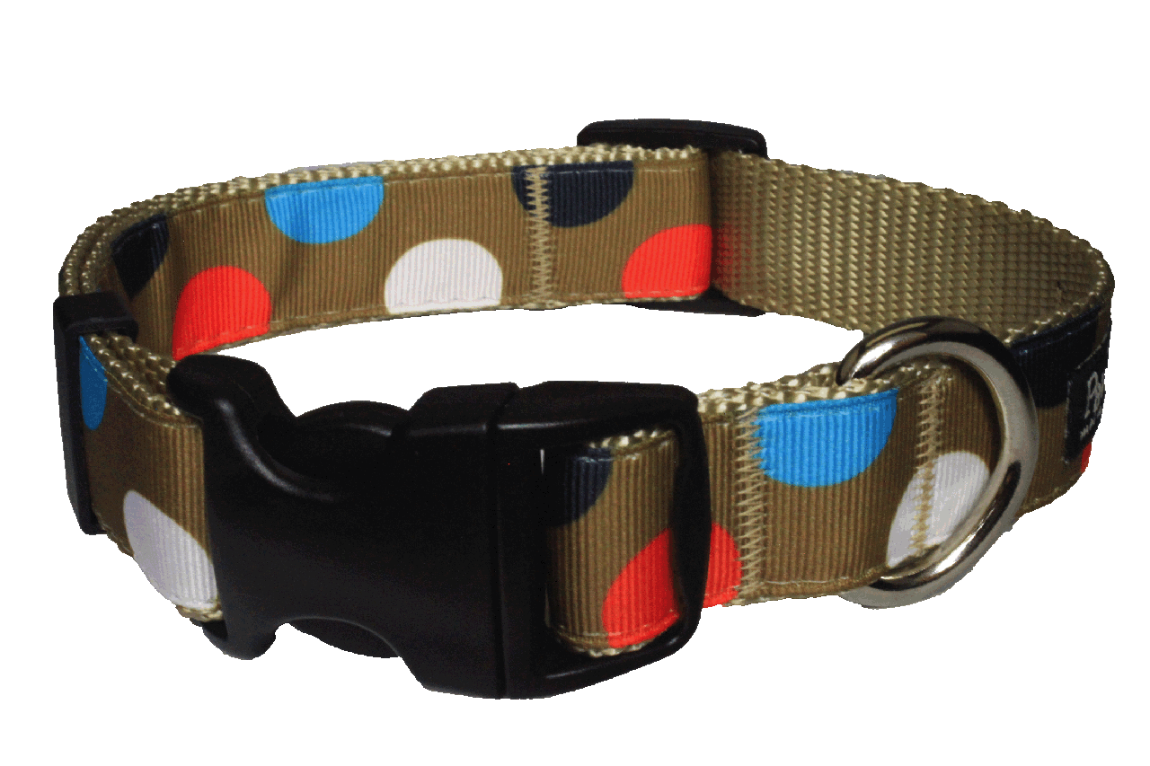 Freshly Squeezed Dog Collar - Citrus Polka Dot