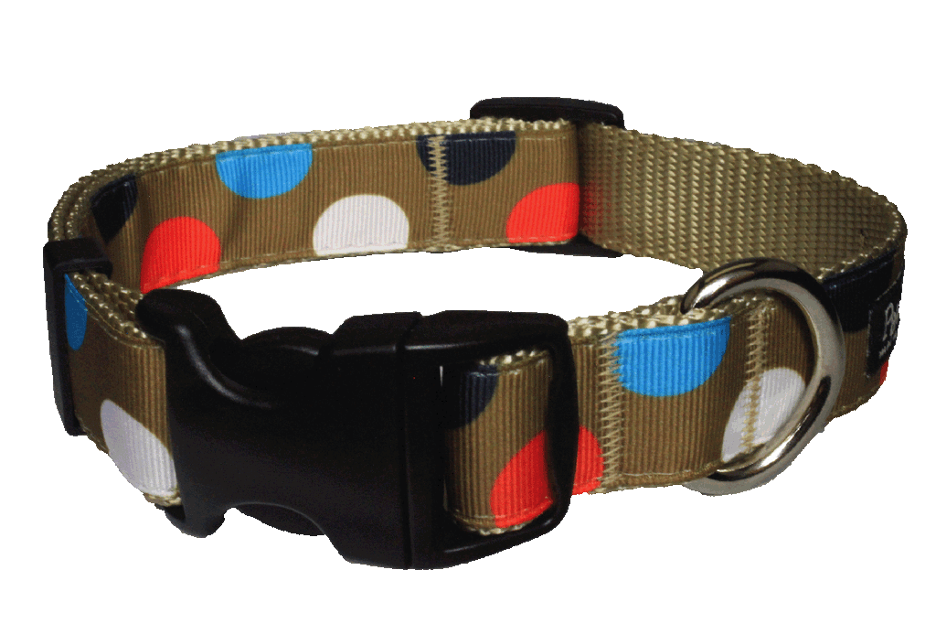 Freshly Squeezed Dog Collar - Citrus Polka Dot