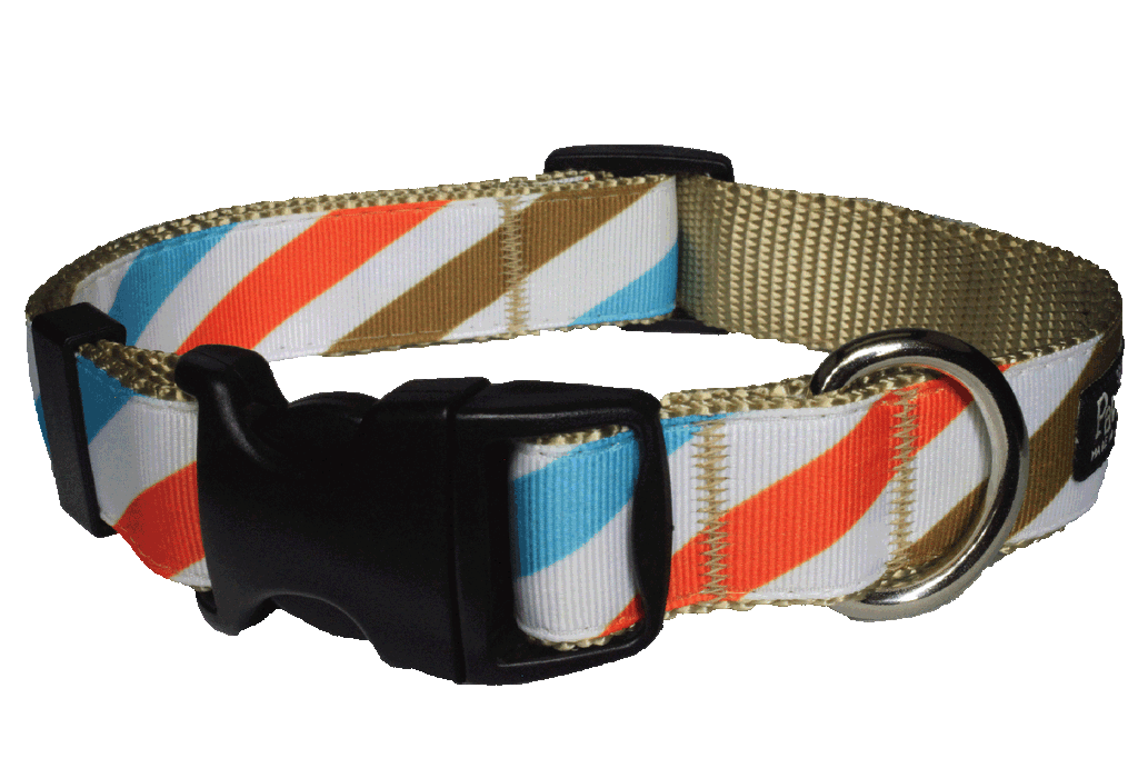 Freshly Squeezed Dog Collar - Sunny Side Stripe