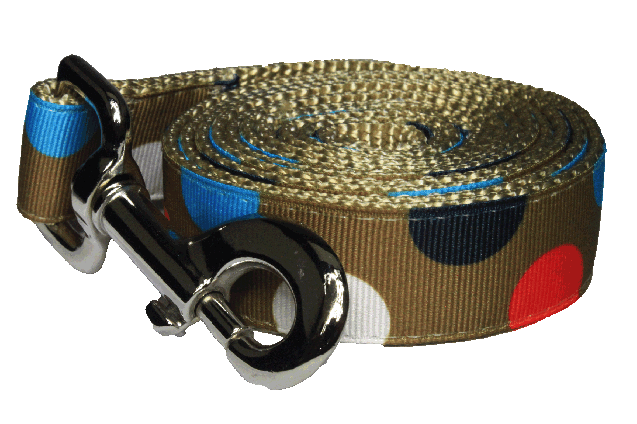 Freshly Squeezed Dog Leash - Citrus Polka Dot