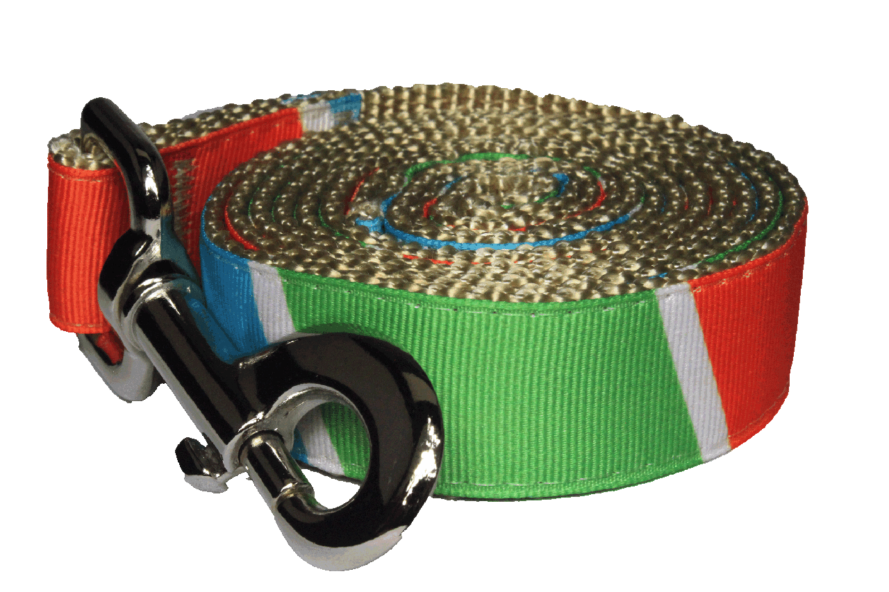 Freshly Squeezed Dog Leash - Sunkist Horizon