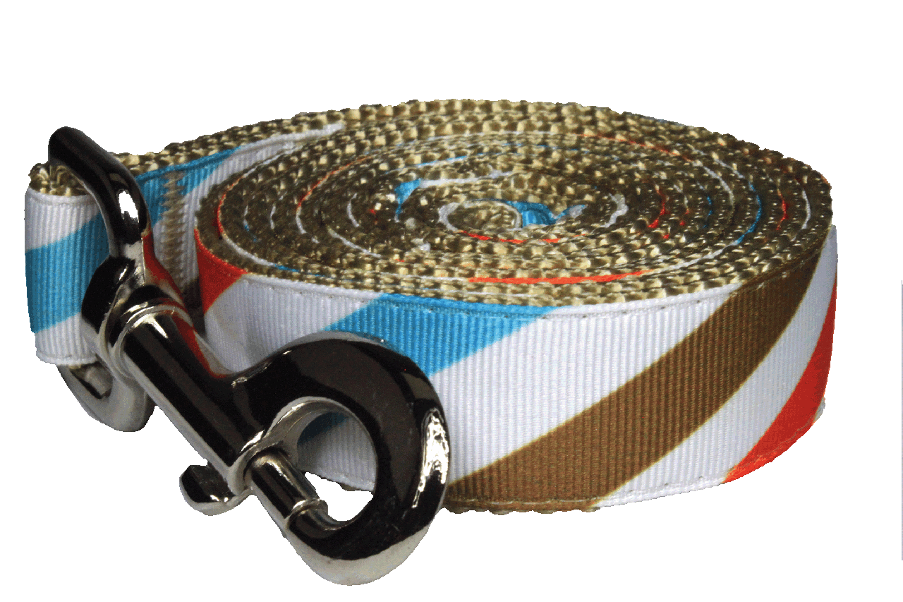 Freshly Squeezed Dog Leash - Sunny Side Stripe