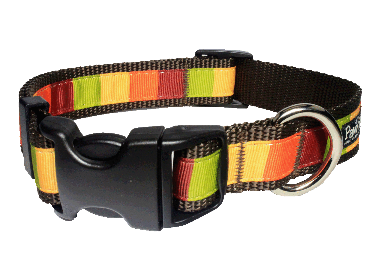 Pumpkin Spice Dog Collar - Pumpkin Block