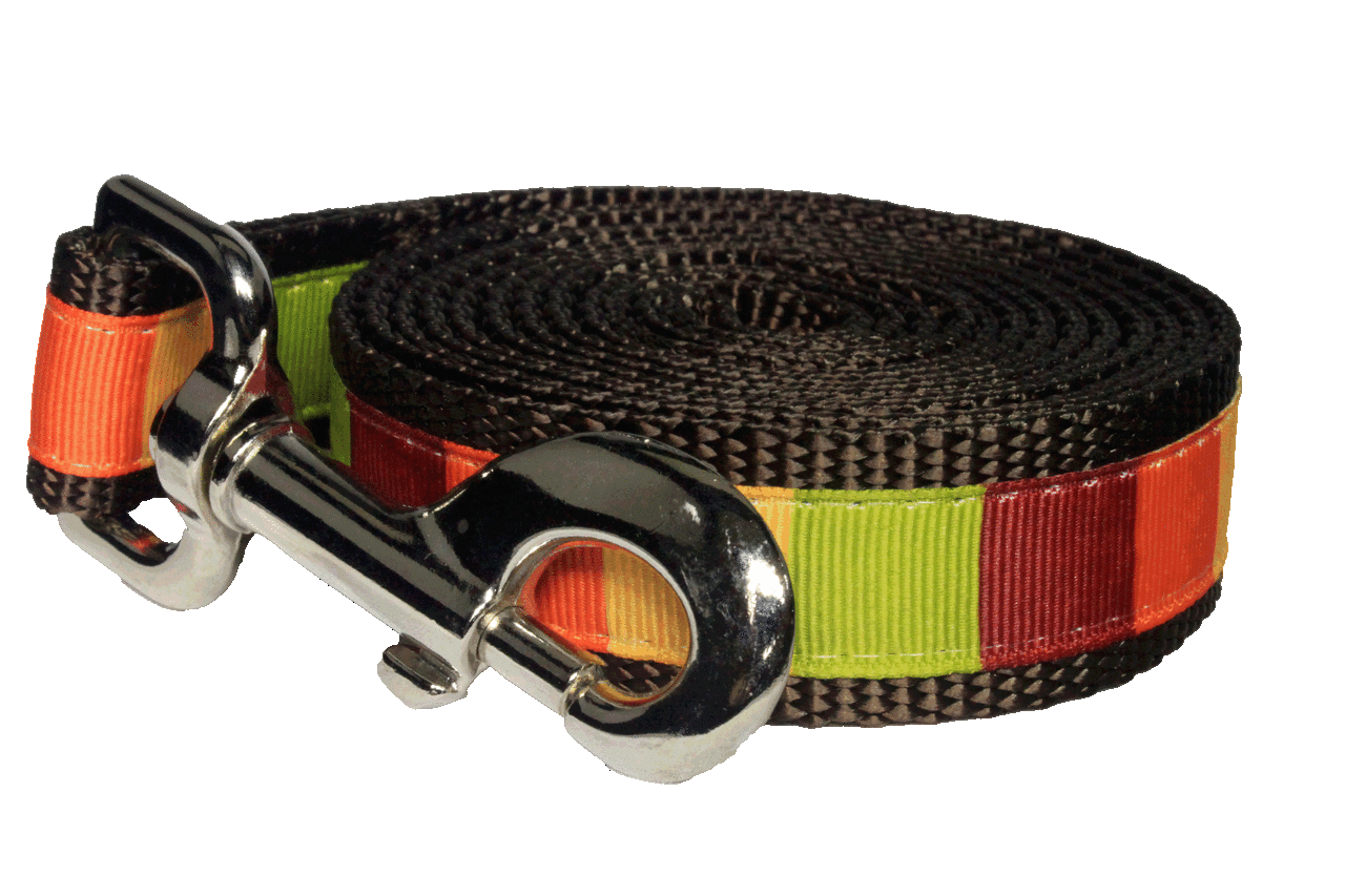 Pumpkin Spice Dog Leash - Pumpkin Block