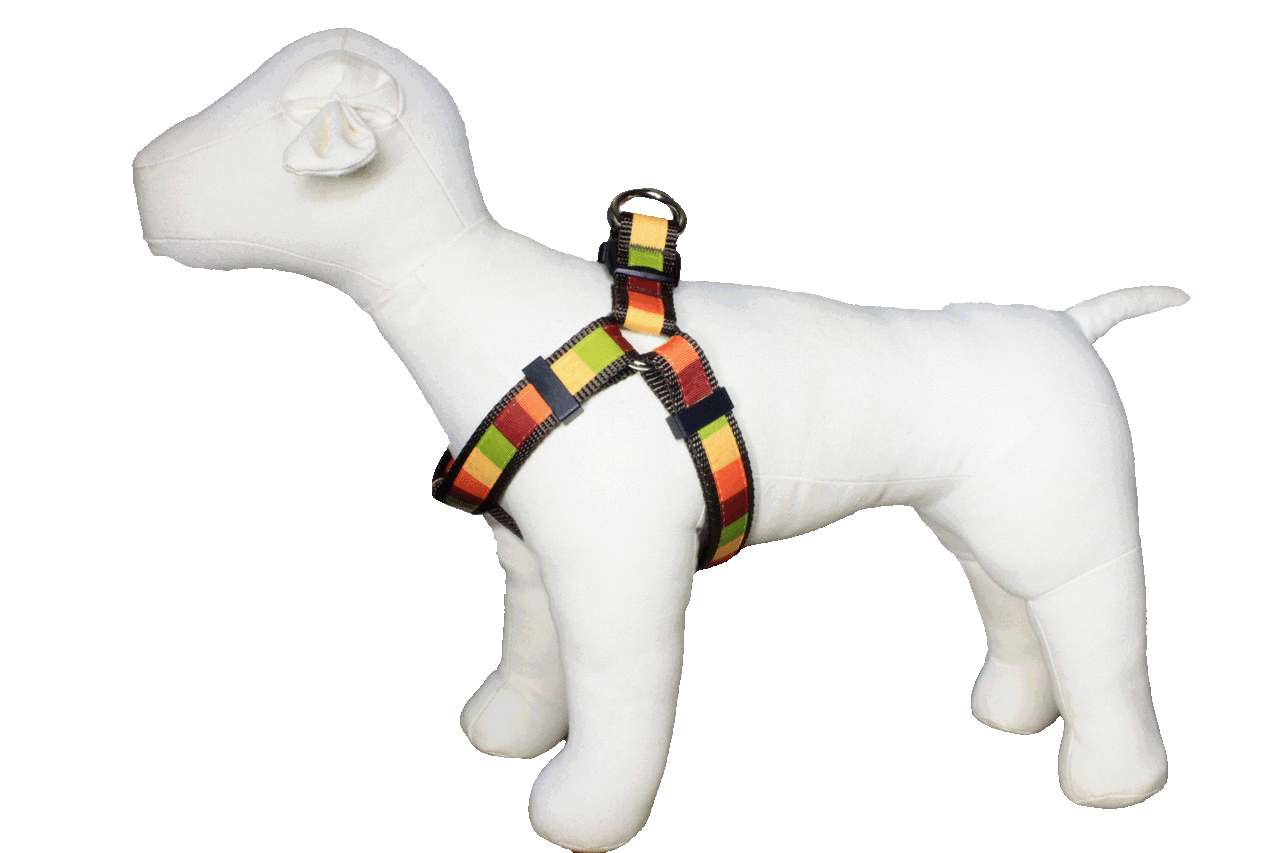 Pumpkin Spice Dog Harness - Pumpkin Block