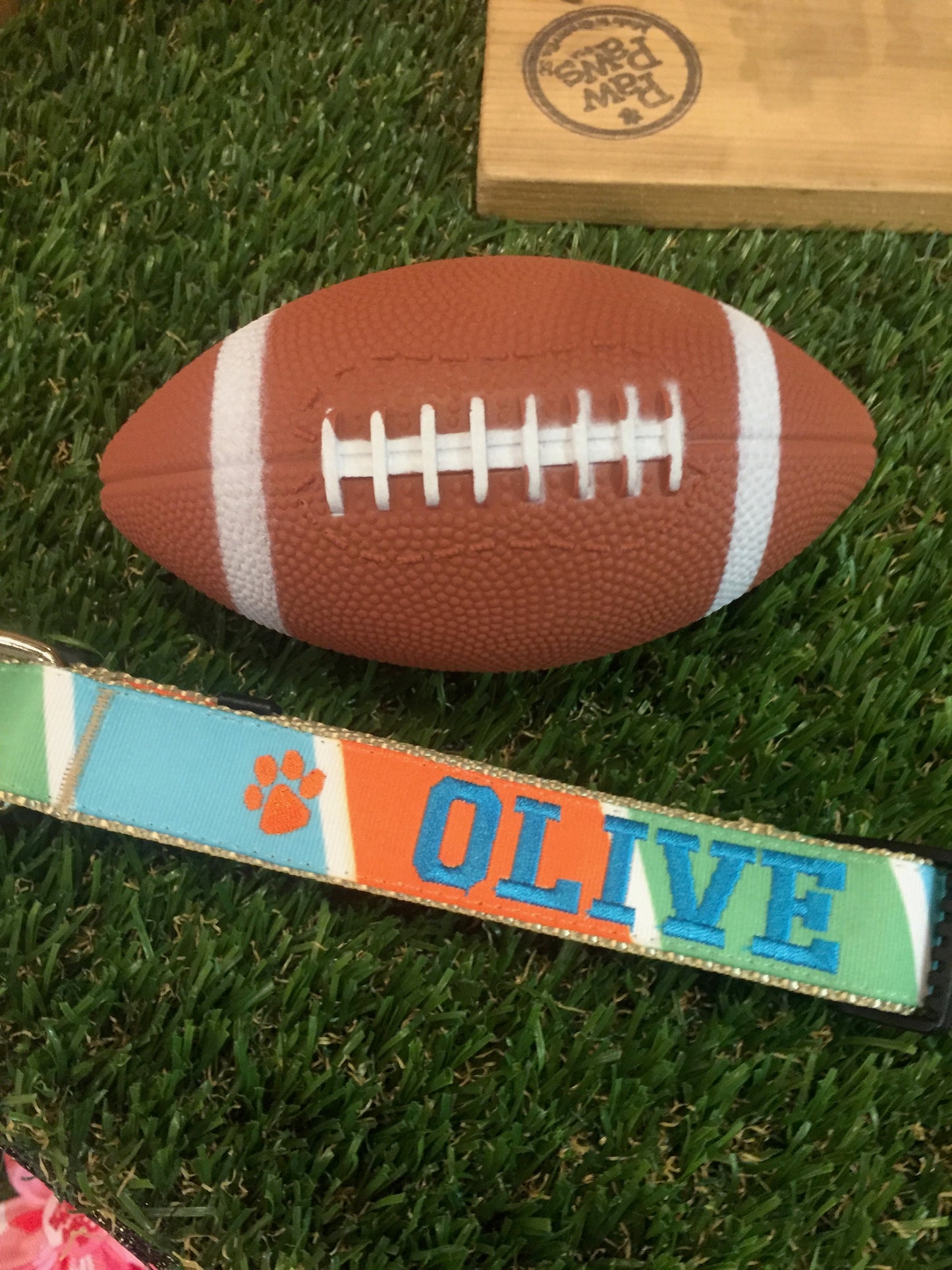 Freshly Squeezed Dog Collar - Sunkist Horizon