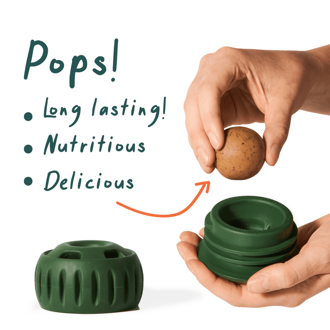 Pupsicle Pops All in One Health - Small