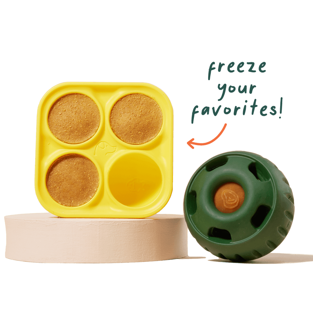Pupsicle Treat Tray Xtra Large
