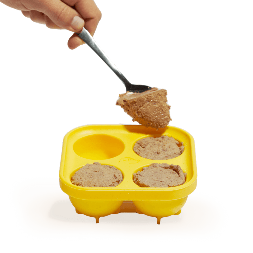 Pupsicle Treat Tray Xtra Large