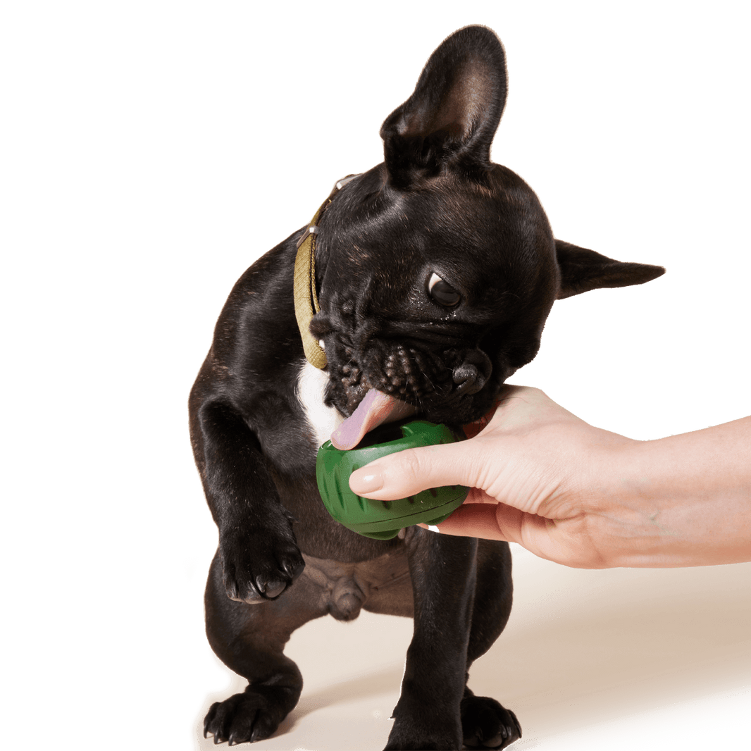 Pupsicle Treat Tray Xtra Large
