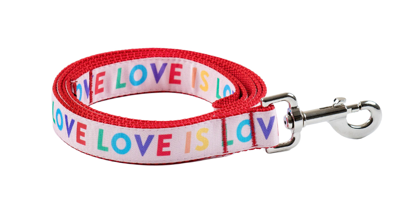 Pride Pink Dog Leash