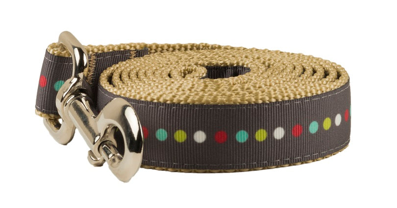 Retro Dog Leash - Robot Dot