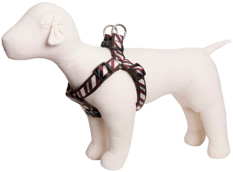 Chocolate Snow Cone Dog Harness - Stripe