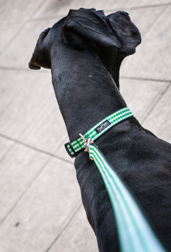 Paw Paws Picnic Basket Leash-Green