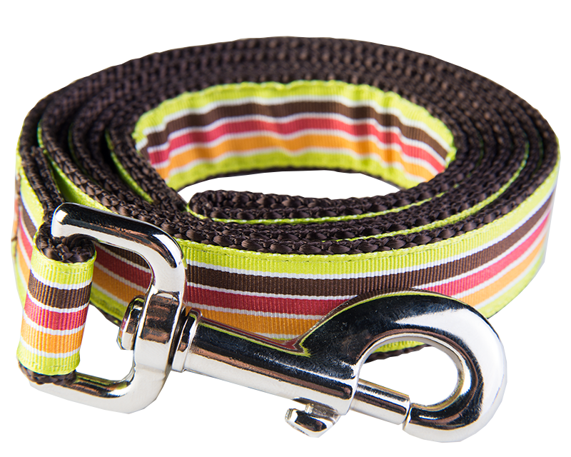 Margarita Mix Dog Leash-Mellow Yellow Stripe