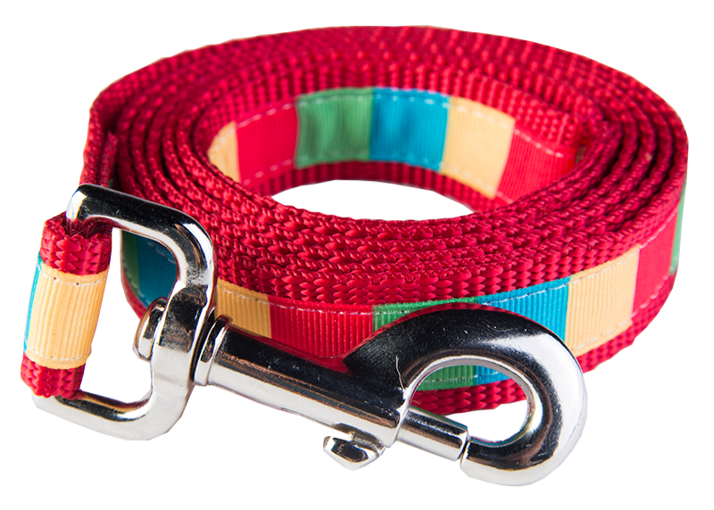 Bomb Pop Dog Leash - Rocket Pop Block