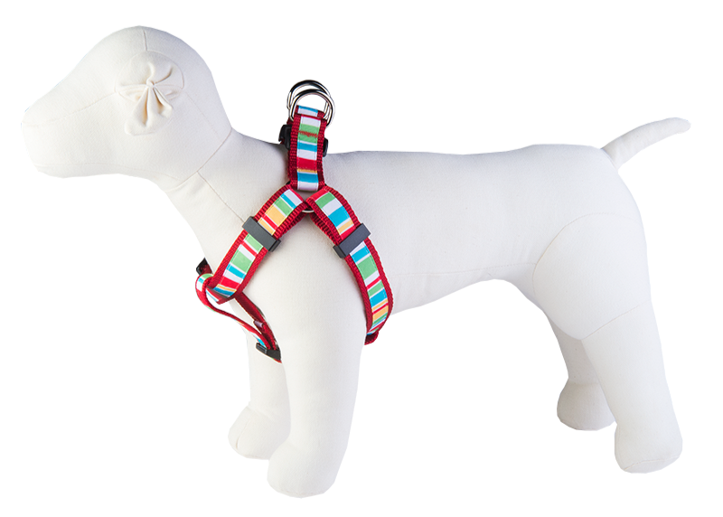 Bomb Pop Dog Harness - Push Up Stripe