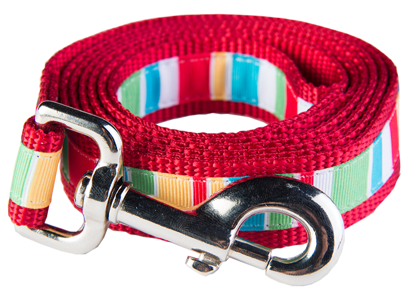 Bomb Pop Dog Leash - Push Up Stripe